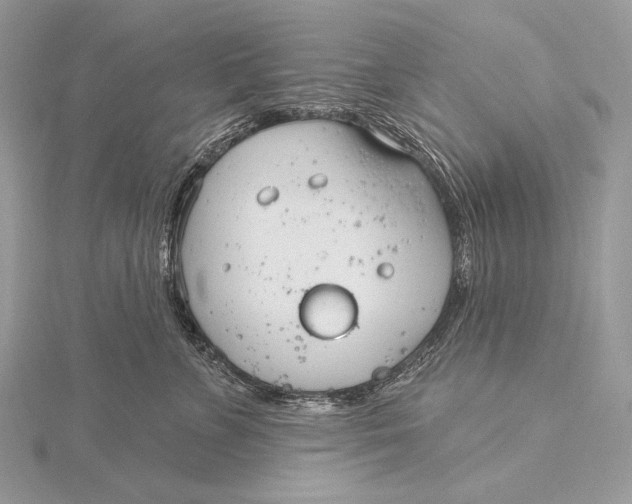 X0000115830715200912041648