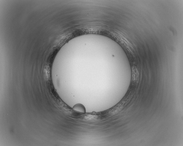 X0000115830718200912041648