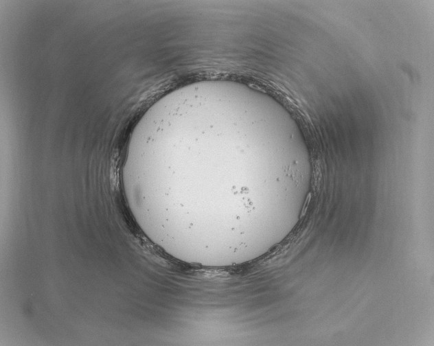 X0000115830719200912041648