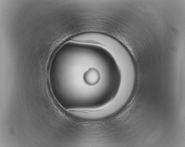 X0000115830721200912041647