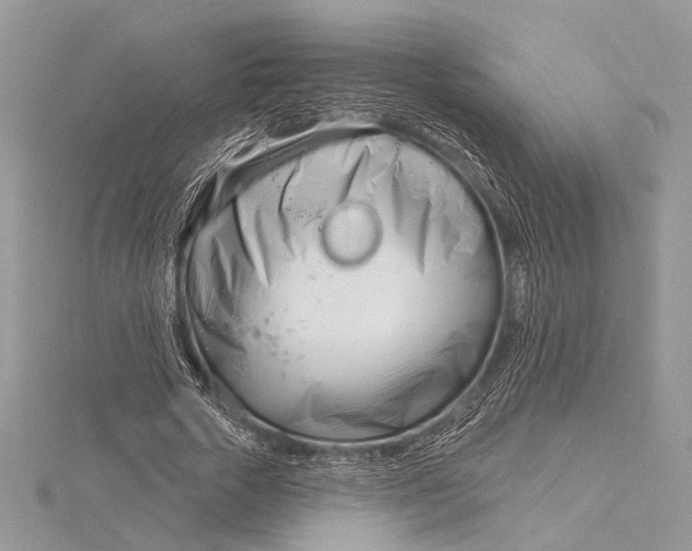 X0000115830729200912041647