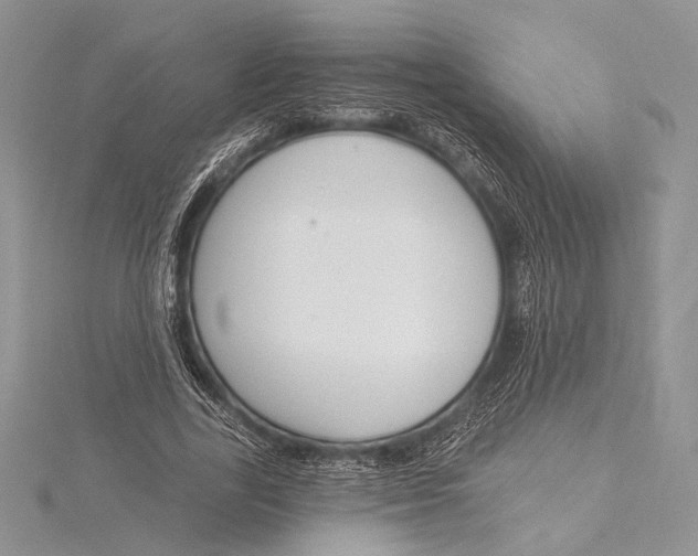 X0000115830731200912041647