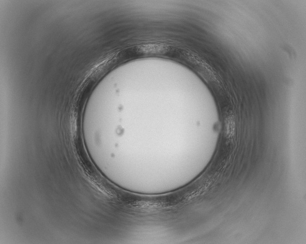 X0000115830733200912041647