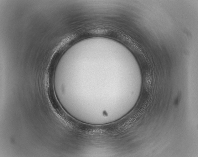 X0000115830734200912041647