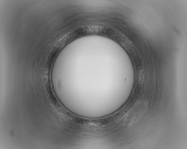 X0000115830737200912041647