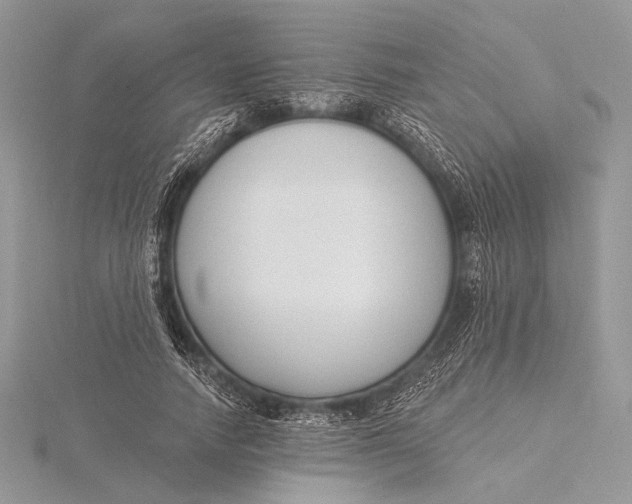 X0000115830738200912041647