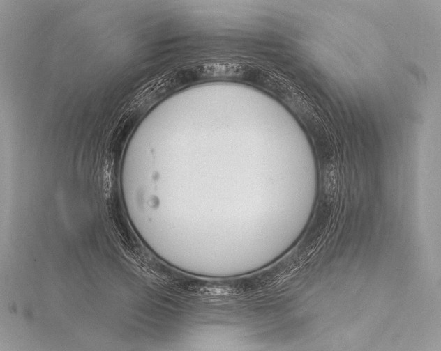 X0000115830741200912041647