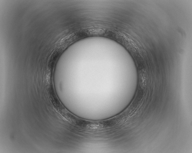 X0000115830745200912041647