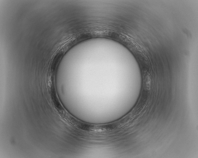 X0000115830746200912041647