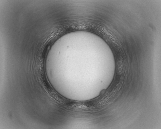 X0000115830747200912041647