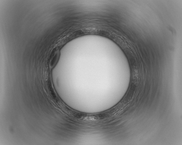 X0000115830751200912041647