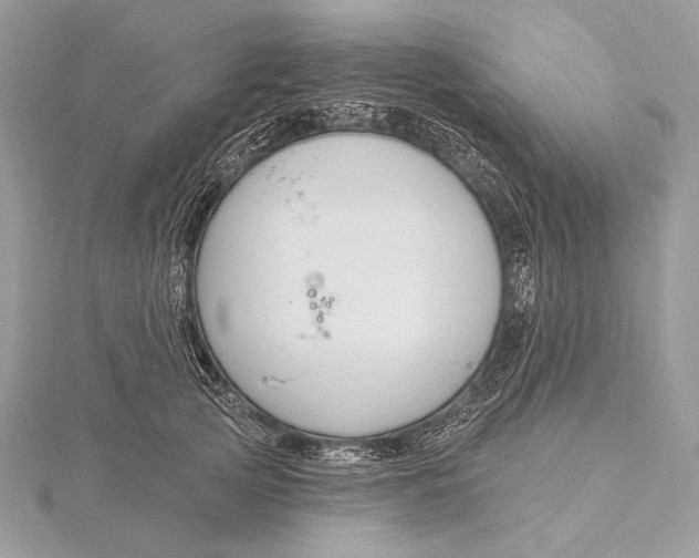 X0000115830753200912041647