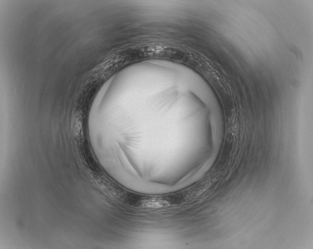 X0000115830754200912041647