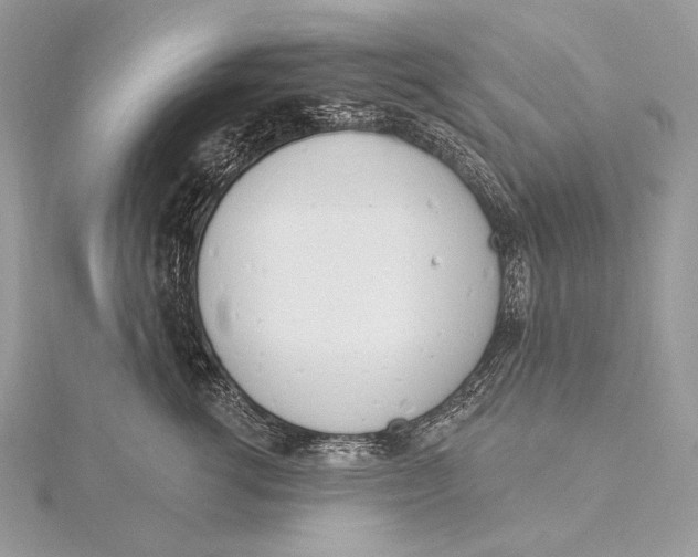 X0000115830762200912041648