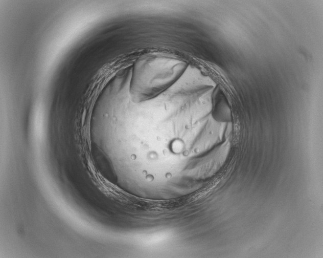 X0000115830765200912041648