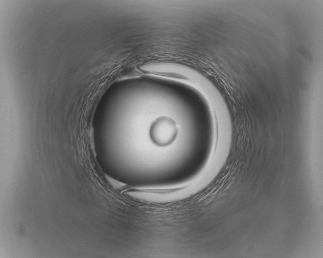 X0000115830769200912041647