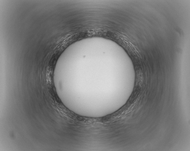 X0000115830770200912041647