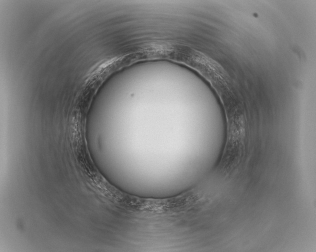 X0000115830773200912041647