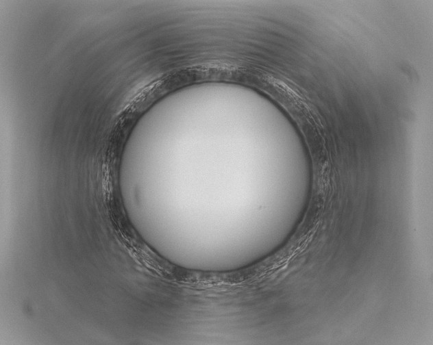 X0000115830774200912041647