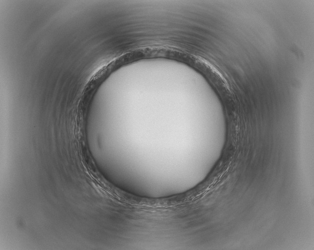 X0000115830775200912041647