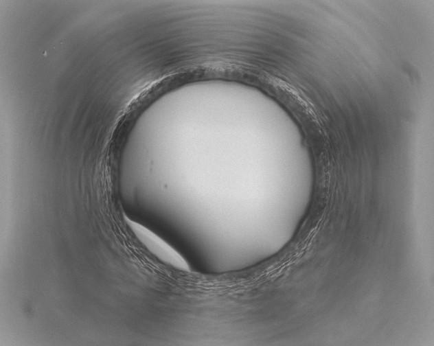 X0000115830776200912041647