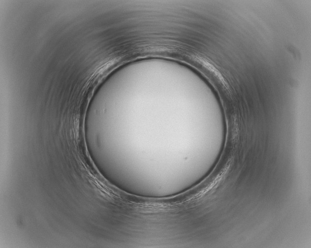 X0000115830777200912041647