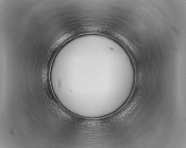 X0000115830778200912041647