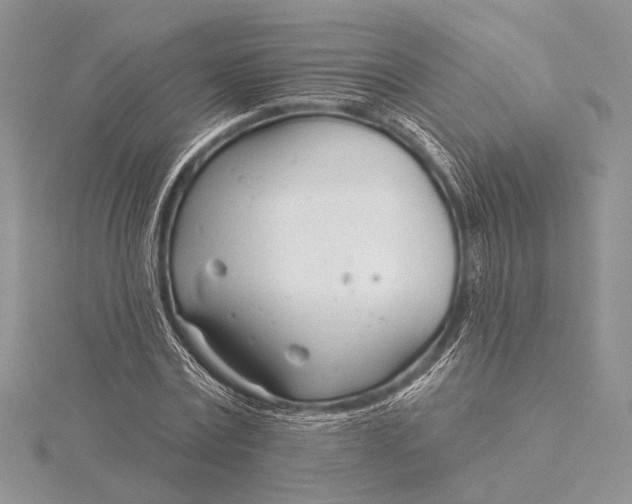 X0000115830779200912041647