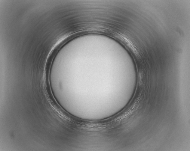 X0000115830780200912041647