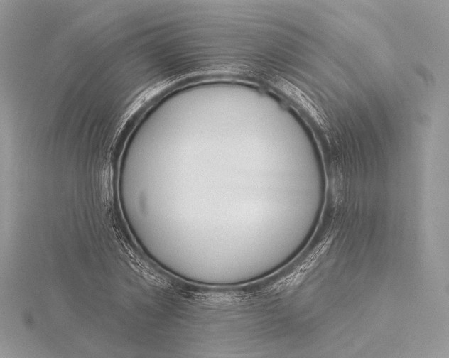 X0000115830781200912041647