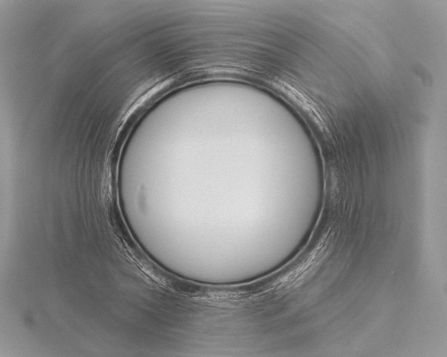 X0000115830782200912041647