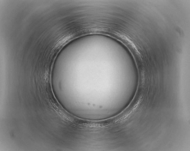 X0000115830785200912041647