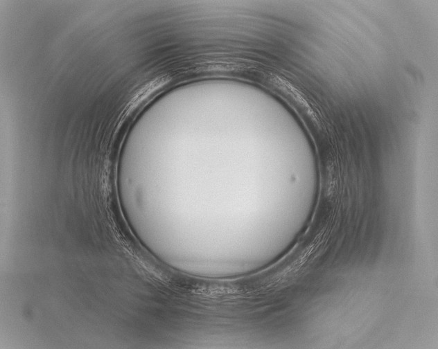 X0000115830786200912041647