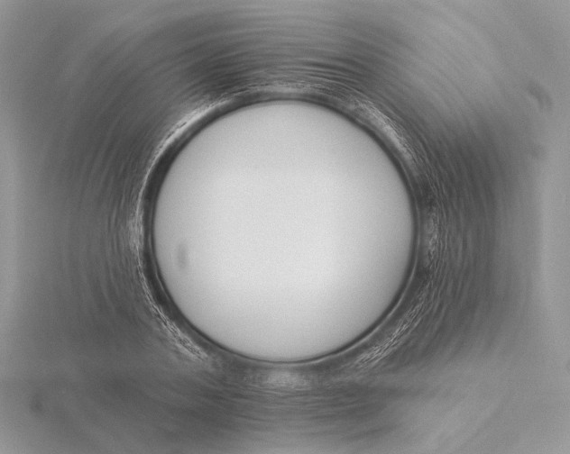 X0000115830787200912041647