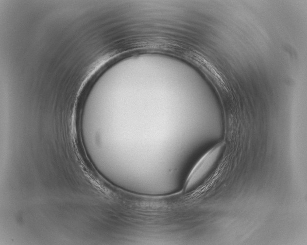 X0000115830788200912041647