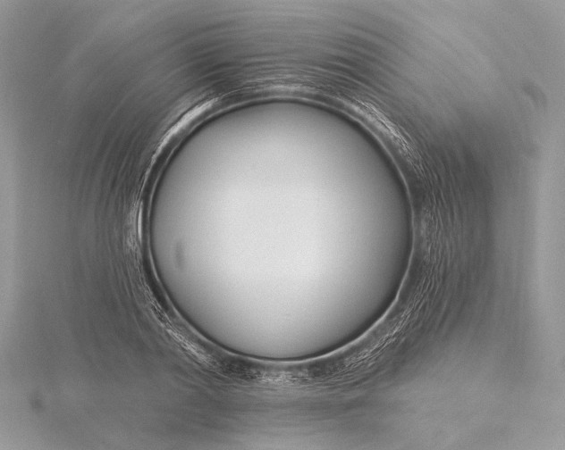 X0000115830790200912041647