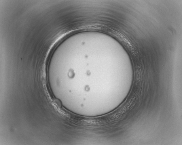 X0000115830792200912041647