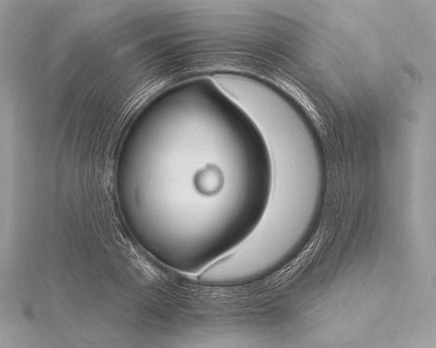 X0000115830793200912041647