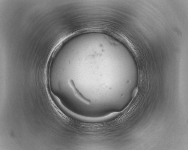 X0000115830795200912041647