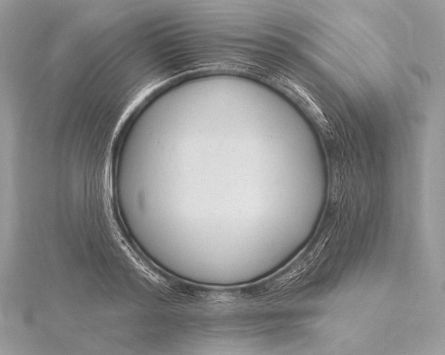 X0000115830796200912041647