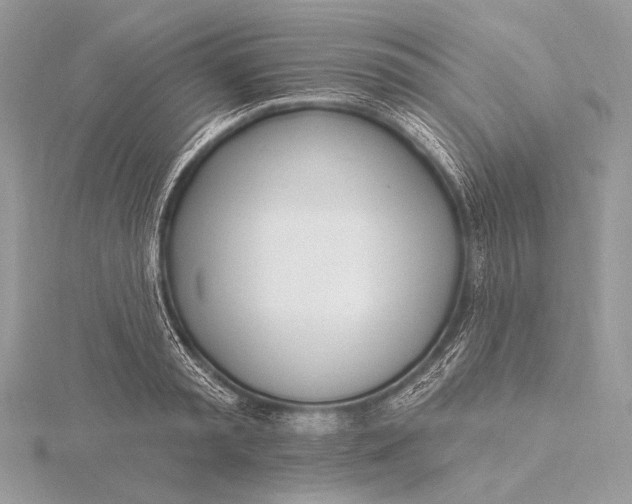 X0000115830797200912041647