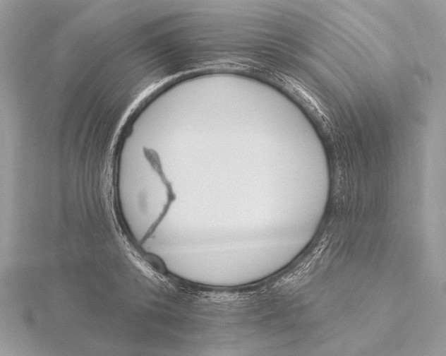 X0000115830800200912041647