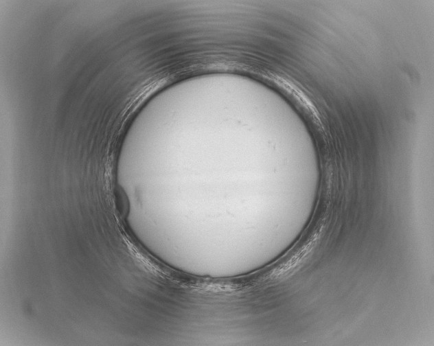 X0000115830801200912041647