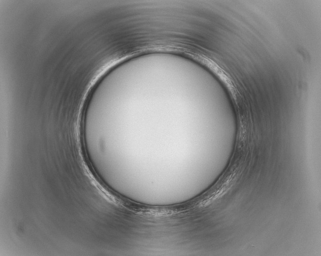 X0000115830803200912041647