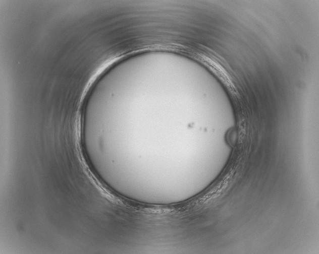 X0000115830804200912041647