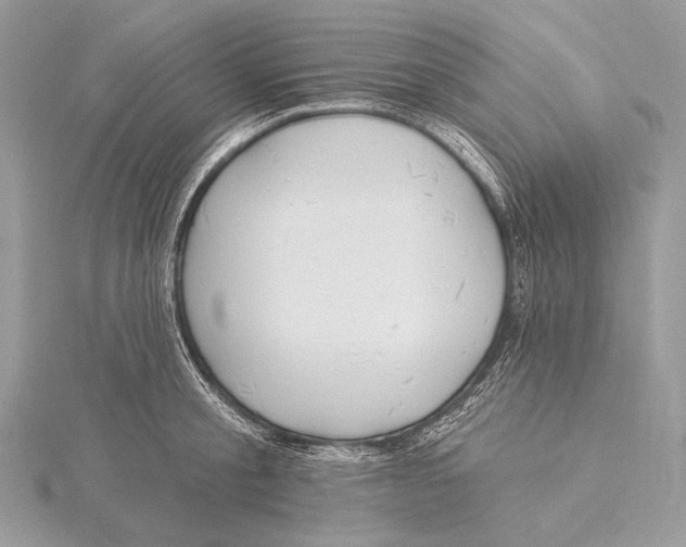 X0000115830805200912041647