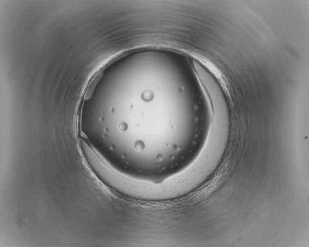 X0000115830807200912041647