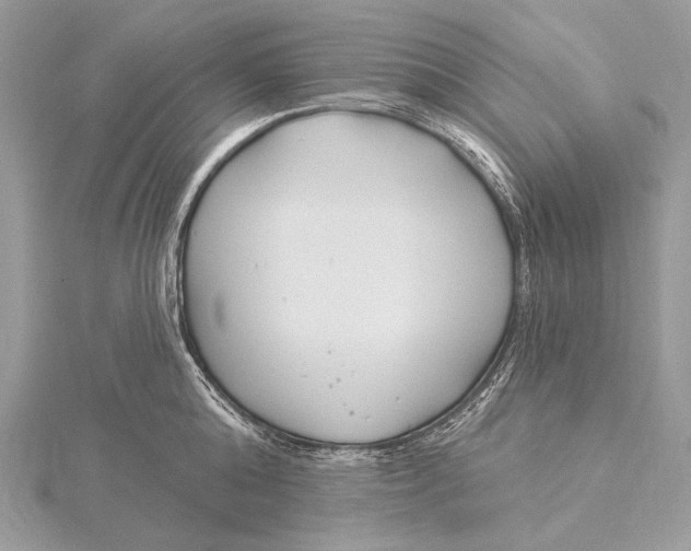 X0000115830808200912041647