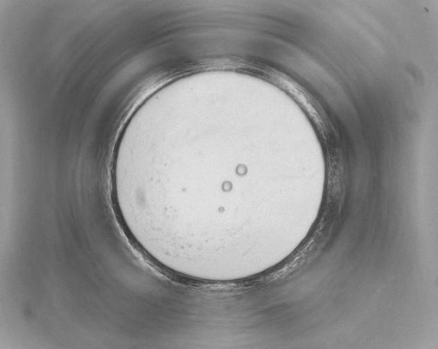 X0000115830810200912041646