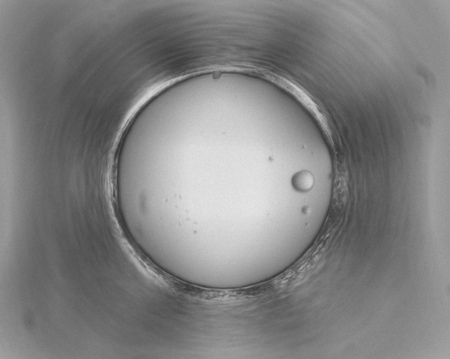 X0000115830811200912041646